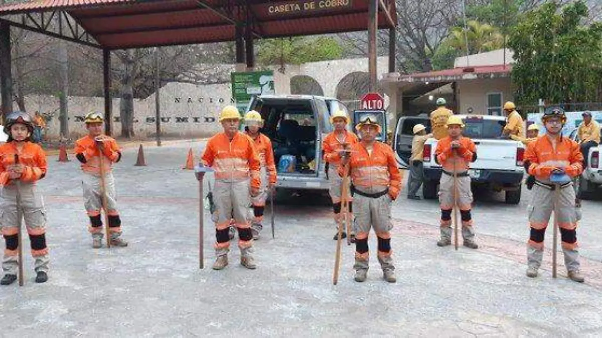 Incendios, Chiapas, lluvias